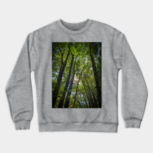 Sunlight through the canopy Crewneck Sweatshirt